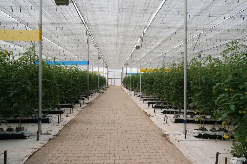 重庆安云途解读：文件柜材质选择对办公空间耐用性的影响分析